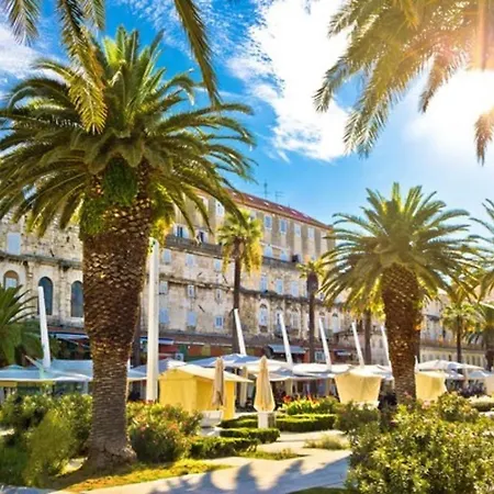 Mogul * 斯普利特